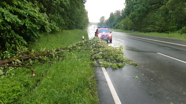 20220520_191602_resized groß.jpg